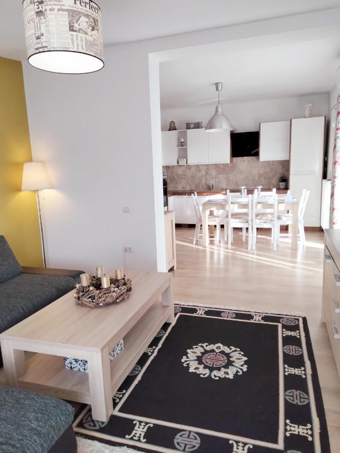 Apartament De Lux Cu Terasa Apartment Timisoara Exterior photo