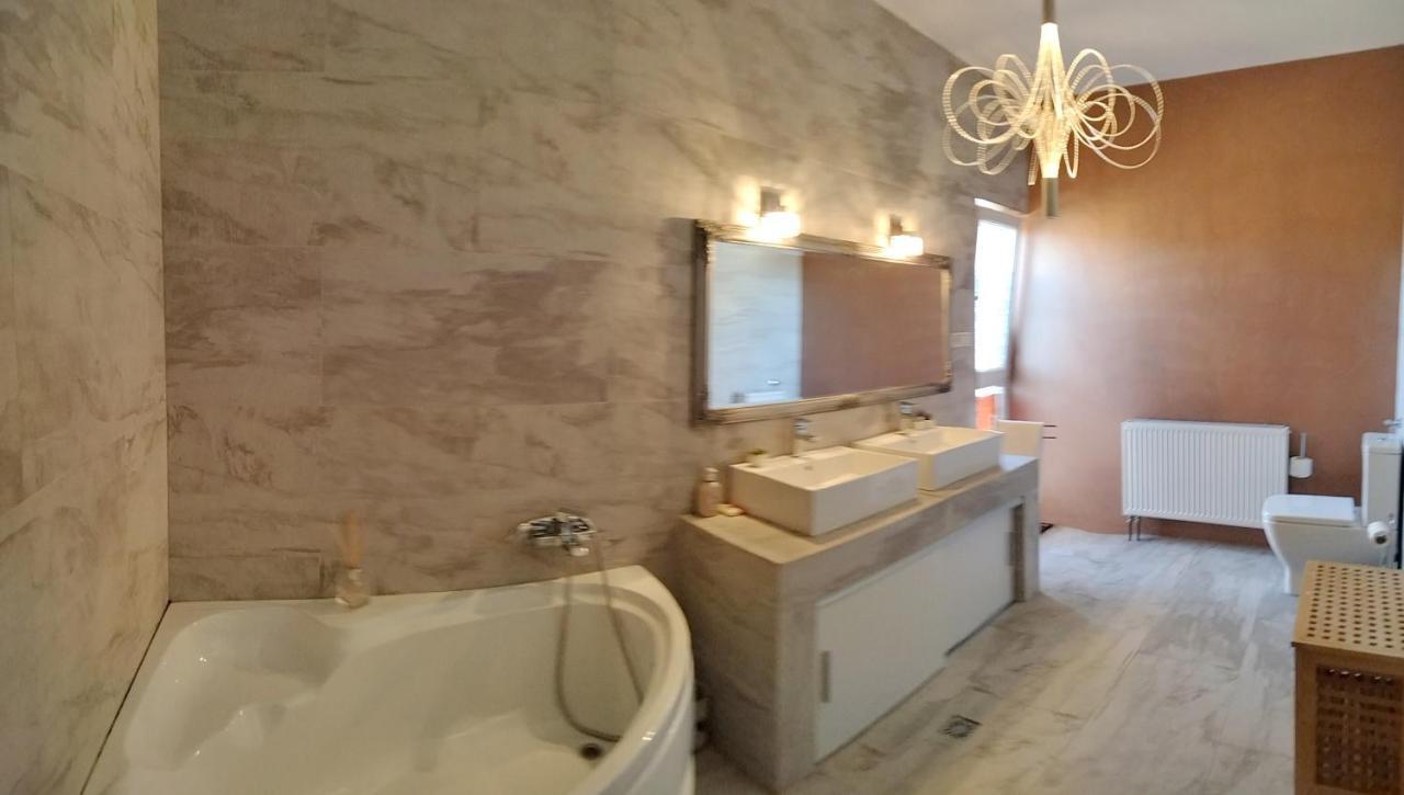 Apartament De Lux Cu Terasa Apartment Timisoara Exterior photo