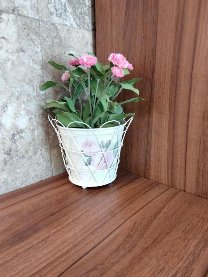 Apartament De Lux Cu Terasa Apartment Timisoara Exterior photo